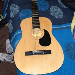 Acoustic Guitar