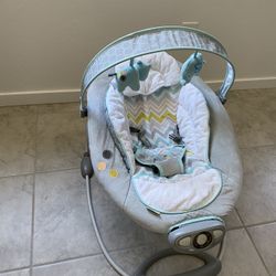 Baby Bouncer