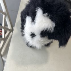 Melissa And Doug Shih Tzu Stuffed Dog