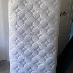 Twin Mattress And Box Spring 