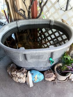 70 gallon fish tub