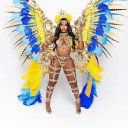 Carnival Costume... BEAUTY & THE BEAST