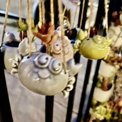 🔥 Cute Crab 🦀 Planter w Succulent 🪴 $12 Each 