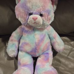 Build A Bear Multicolors