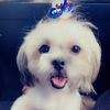 Abby