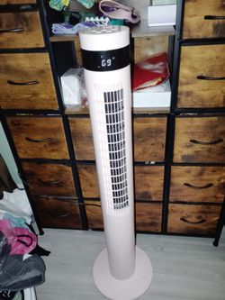 Fan with remote