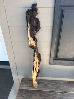Beautiful Charred Maple Burl