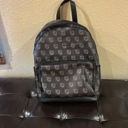 Hi Backpack
