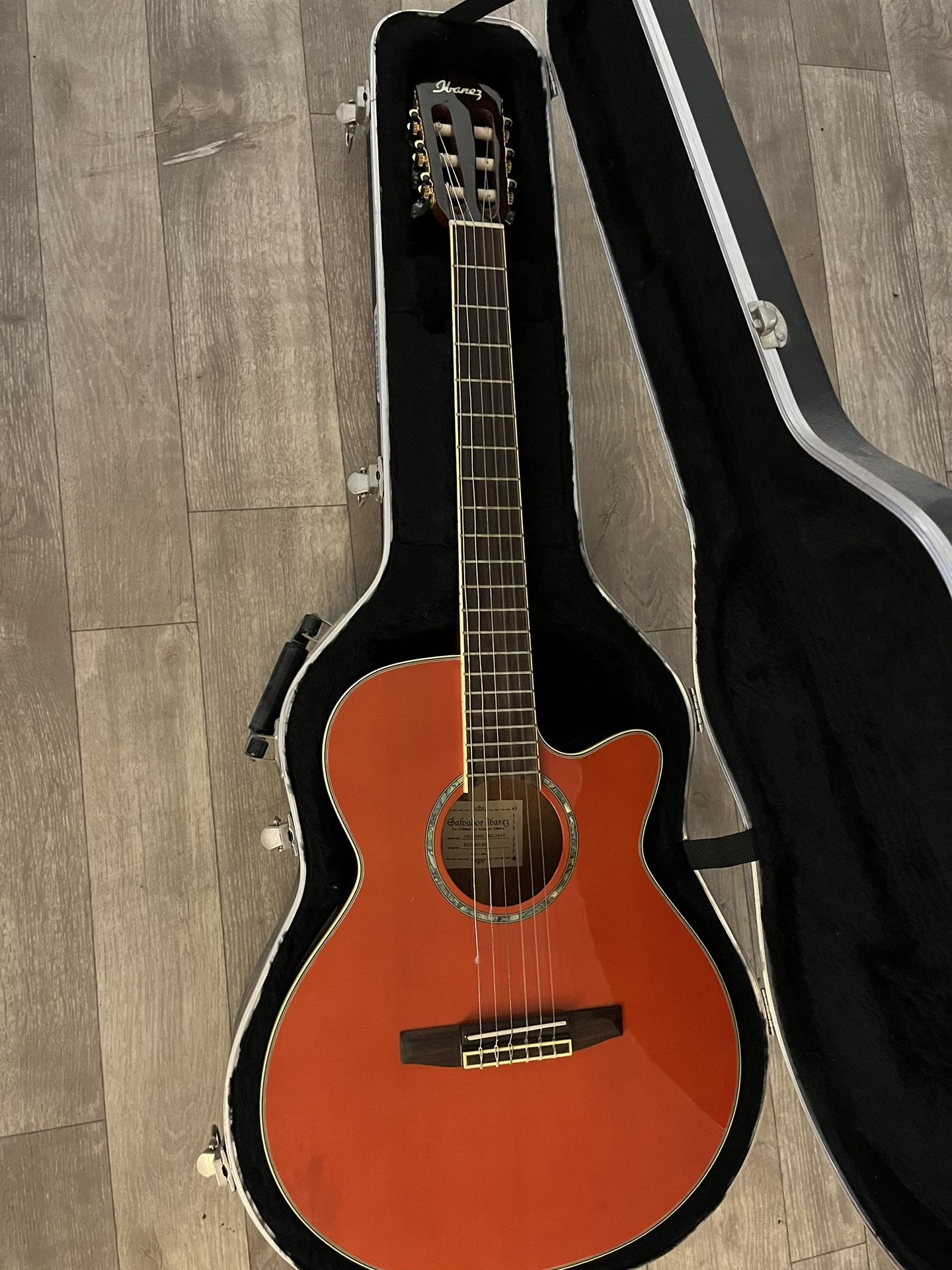 Ibanez Acoustic/Electric With Hard Case 