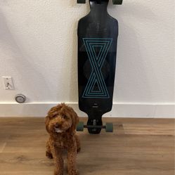 Gold Coast Long Board