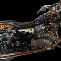 2000 883 Custom Harley Davidson Sportster 