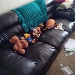 Stuffed Animal Bear Collection