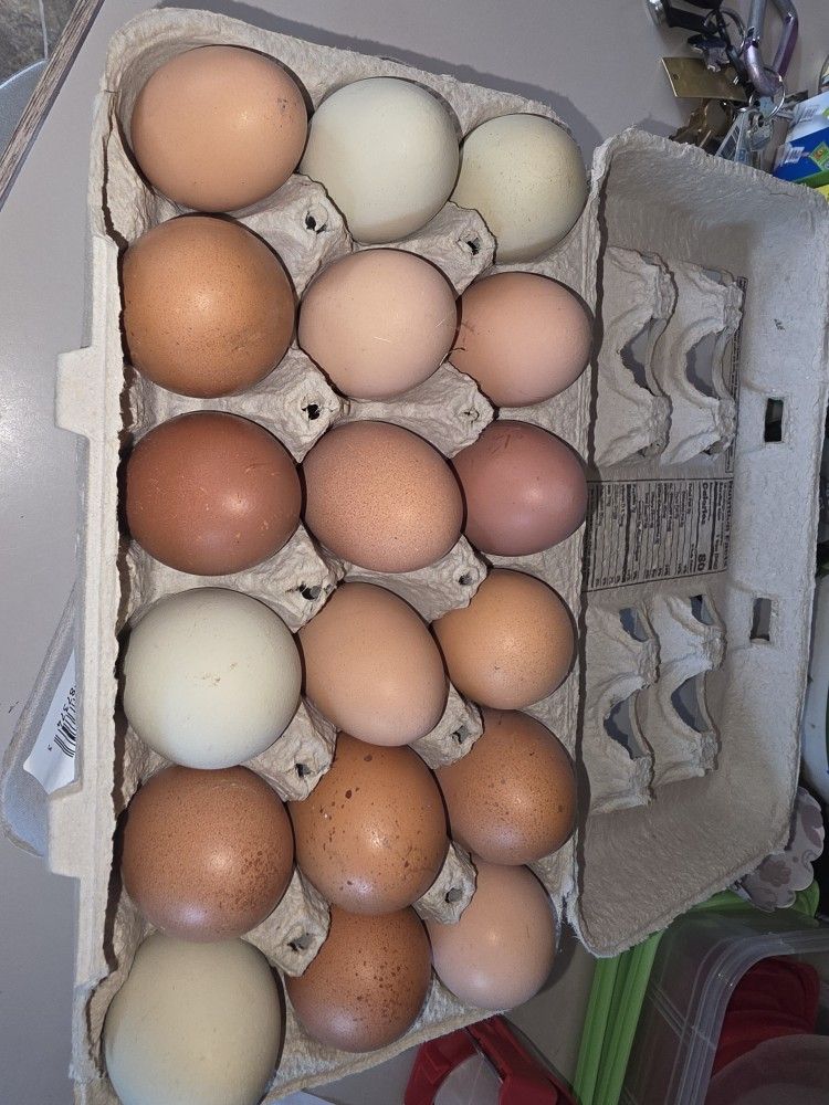 Farm fresh treats 18 pack