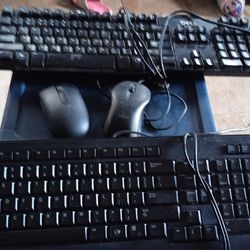 Keyboards And Mice