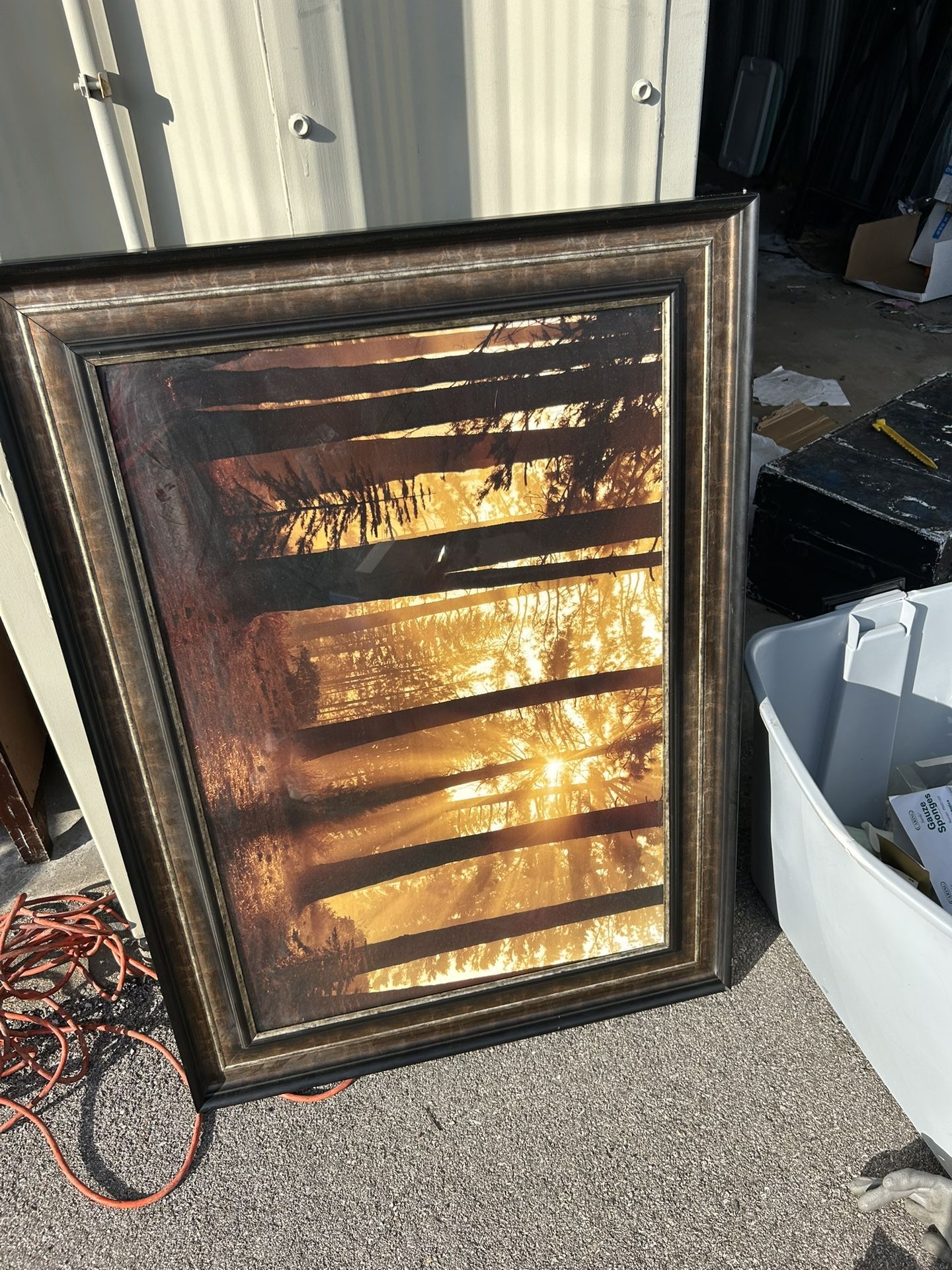 Large Picture