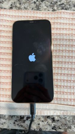 Apple 12 pro max plus
