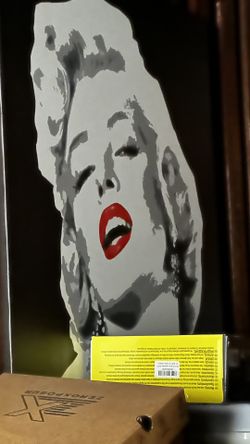 Marilyn Monroe Picture