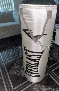 everlast 70 lbs bag