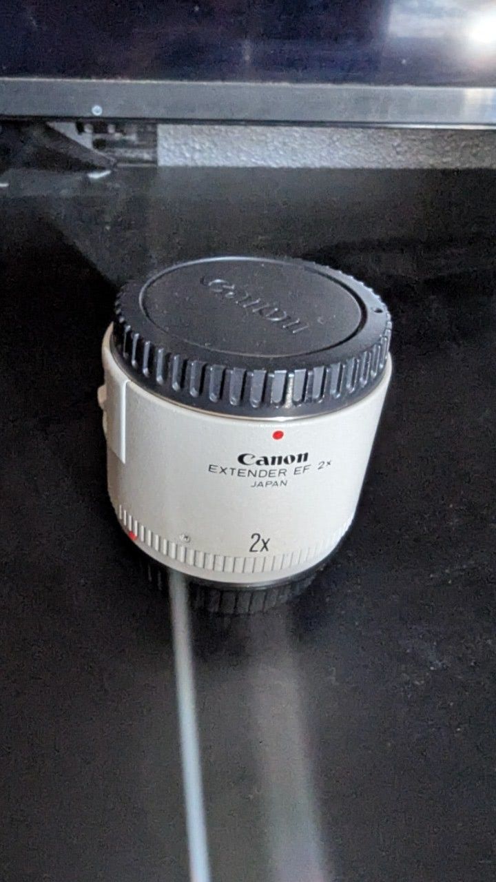 Canon EF 2X Extender 