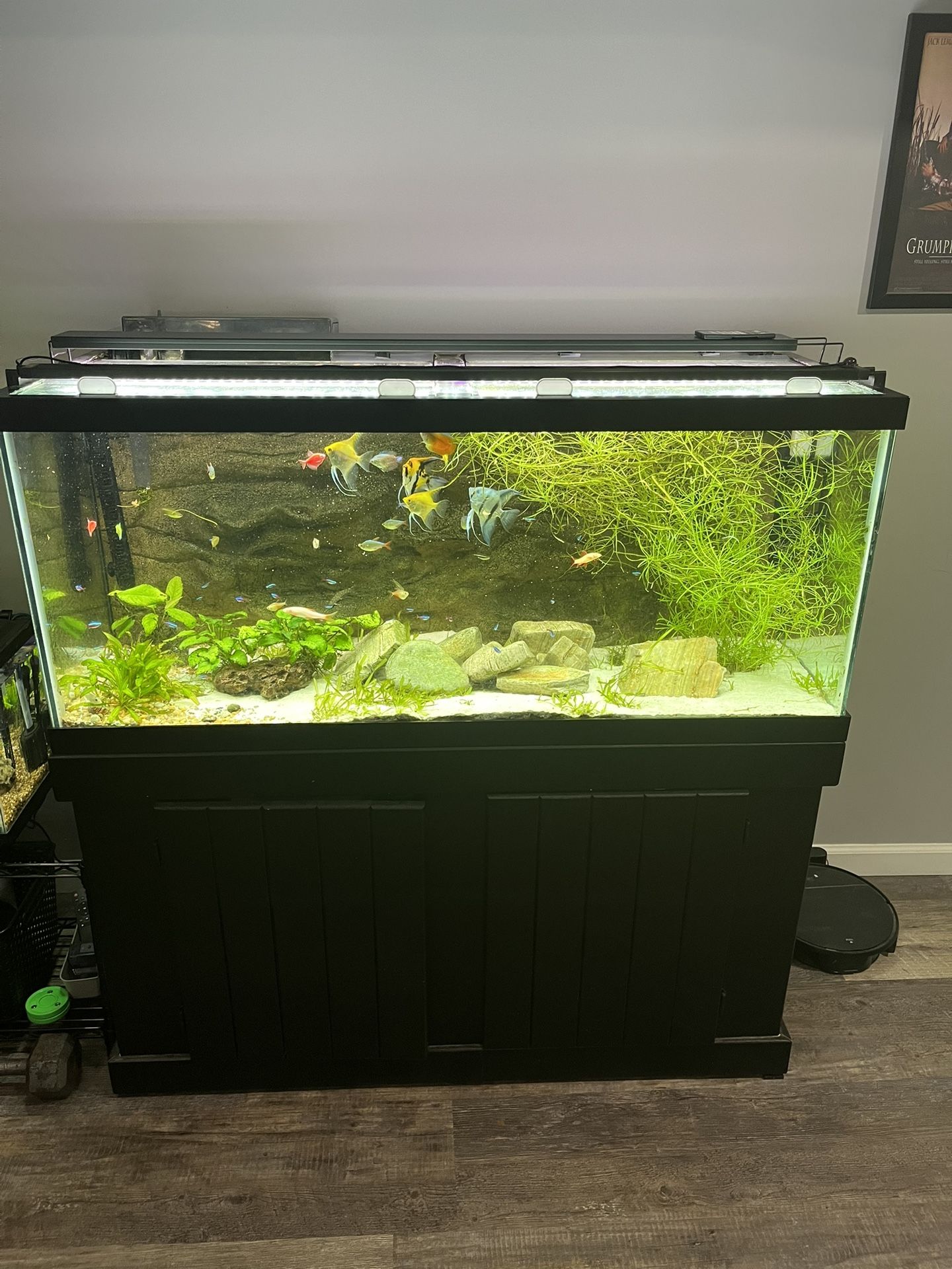 75 Gallon Aquarium and Stand With Accessories
