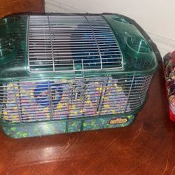 Hámster Cage 