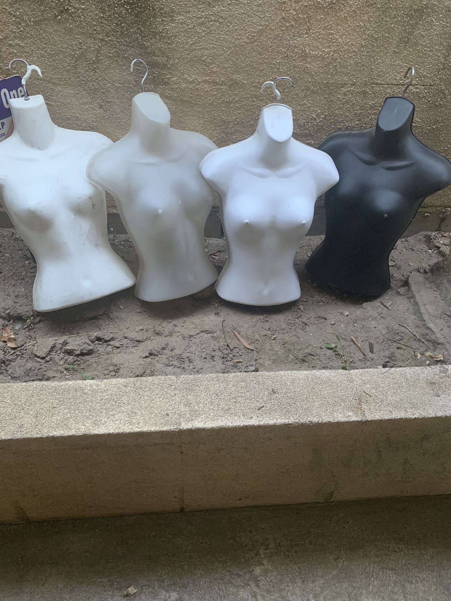 Half plastic manikin $35 for all three