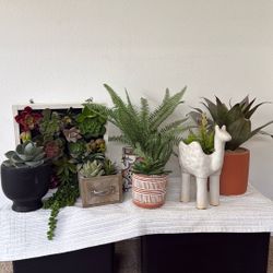 Artificial Plants - Multiple Available 