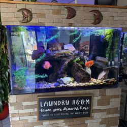 FISH TANK 
