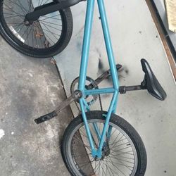 Custom 20in BMX 