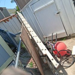 Ladder