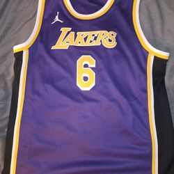 Nike Jordan Brand Dri-Fit NBA Los Angeles Lakers #6 LeBron James Jersey Youth XL