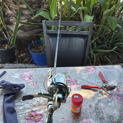 Fishing Rod