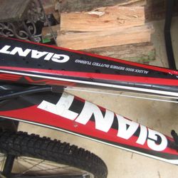 GIANT REVEL ALUXX 6000 SERIES BUTTED TUBING black red white XS frame for Sale in Tallahassee FL OfferUp