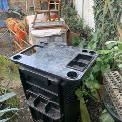 Beauticians Rolling Caddie  