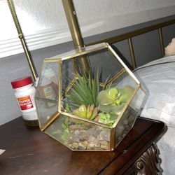 Geometric Succulent Plant Decor 