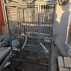 Bird Cage