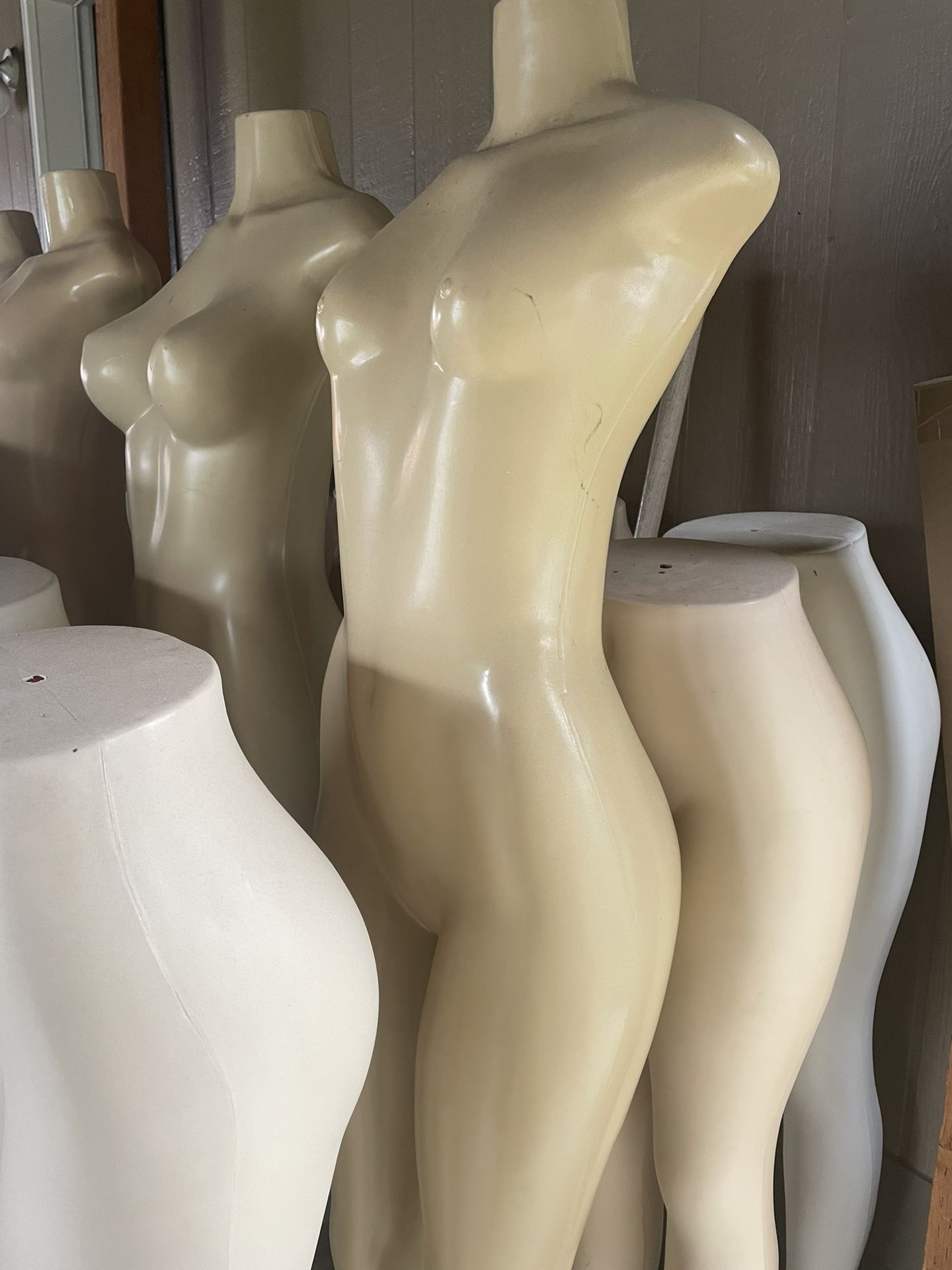Manikin 