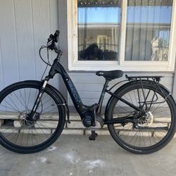 Electric Batch Bike 