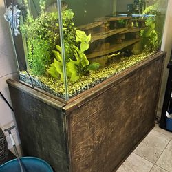 75 Gallon Fish Tank / Aquarium  With Custom Stand