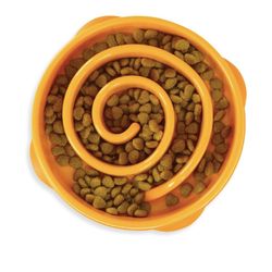 Fun Feeder Slow Bowl  Plastic for Dogs