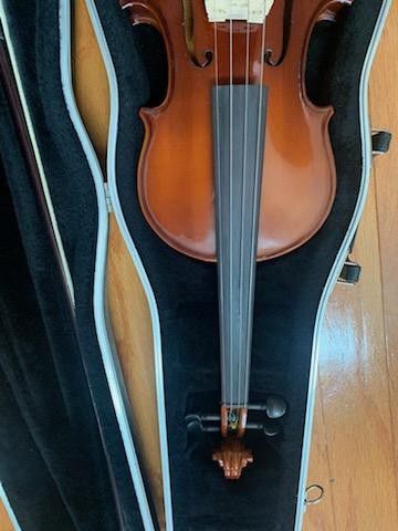 Beautiful Violin