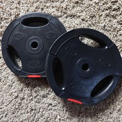 Four 20lb weight plates.  1in size.