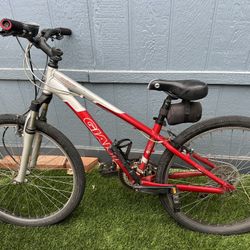 Women Giant Mountain Bike 35 Cm