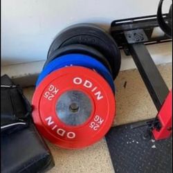 Barbell Weights (Bumper Plates)