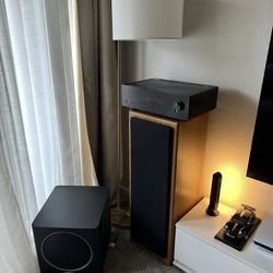 Polk Audio PSW -110 Subwoofer 