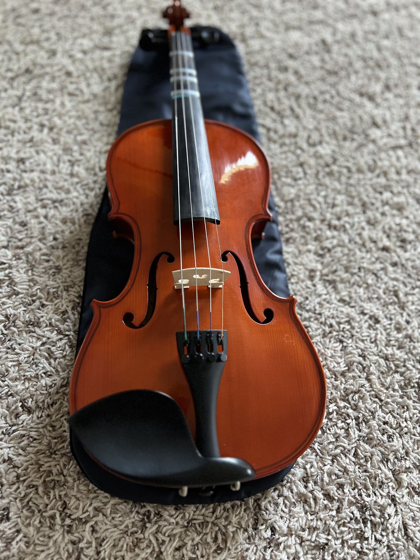 Violin For Beginner With Case