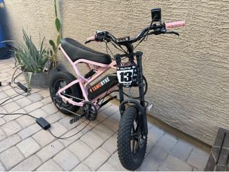 Tamobyke Electric Bike T16