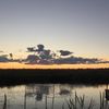 Dawn Oxendine