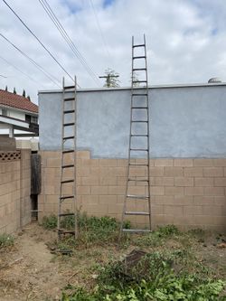 Wood fruit tree picking ladders.