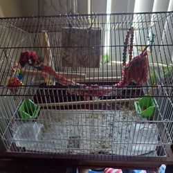 Big Bird Cage With Accessories